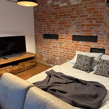 Apartment Cosycentrumflat Ostrava